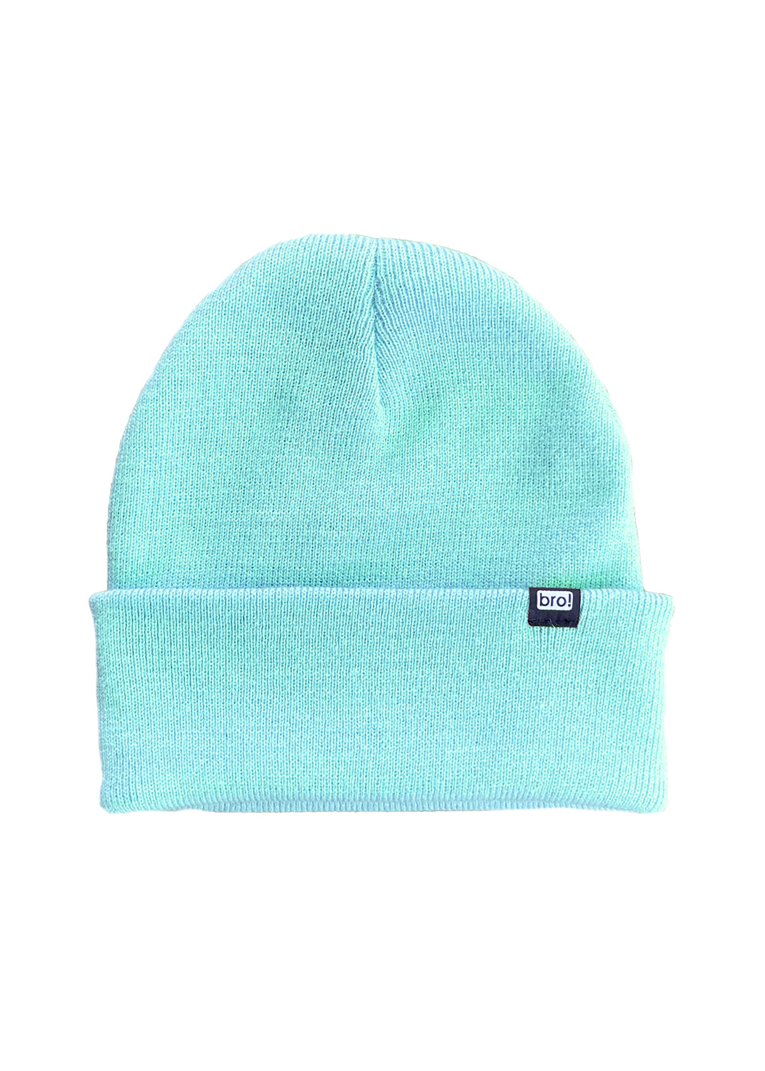 bro! mini logo beanie (mint)